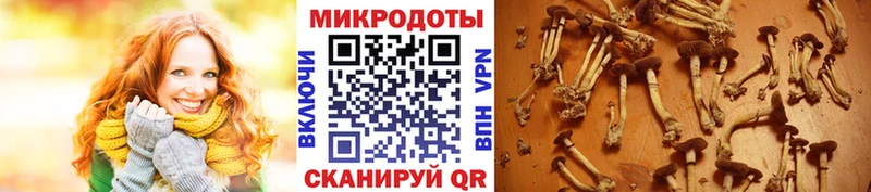Галлюциногенные грибы мицелий  shop клад  Якутск  даркнет сайт 